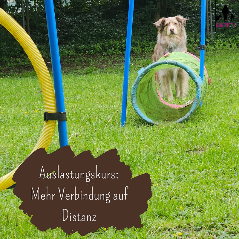 Auslastungskurs - Mehr Verbindung auf Distanz