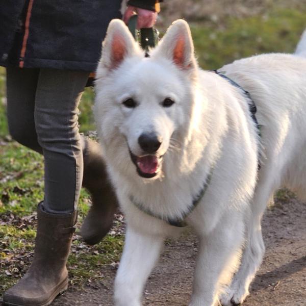 Statisten gesucht! 🐕🍀