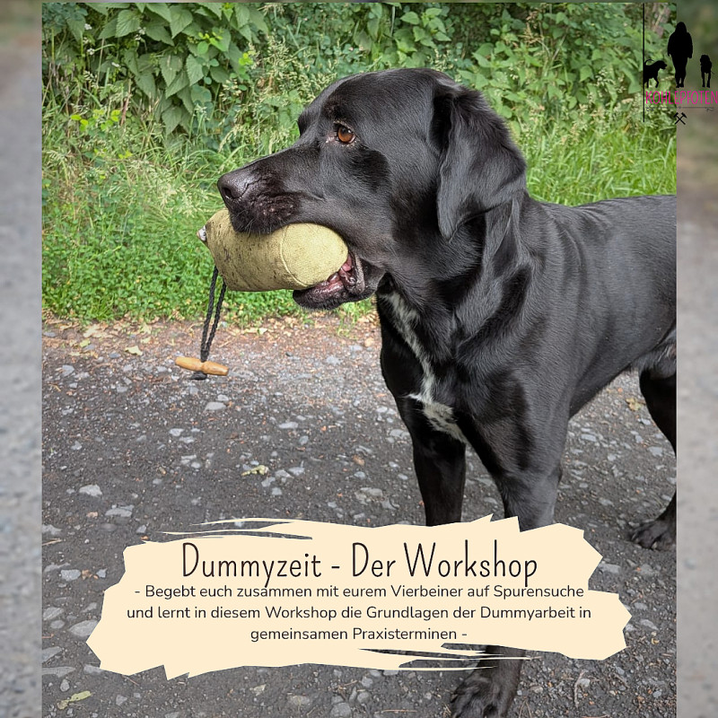 Dummyzeit - Gemeinsam auf Spurensuche