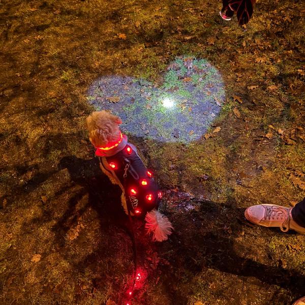Lichter-Walk 🔦🐕🌟