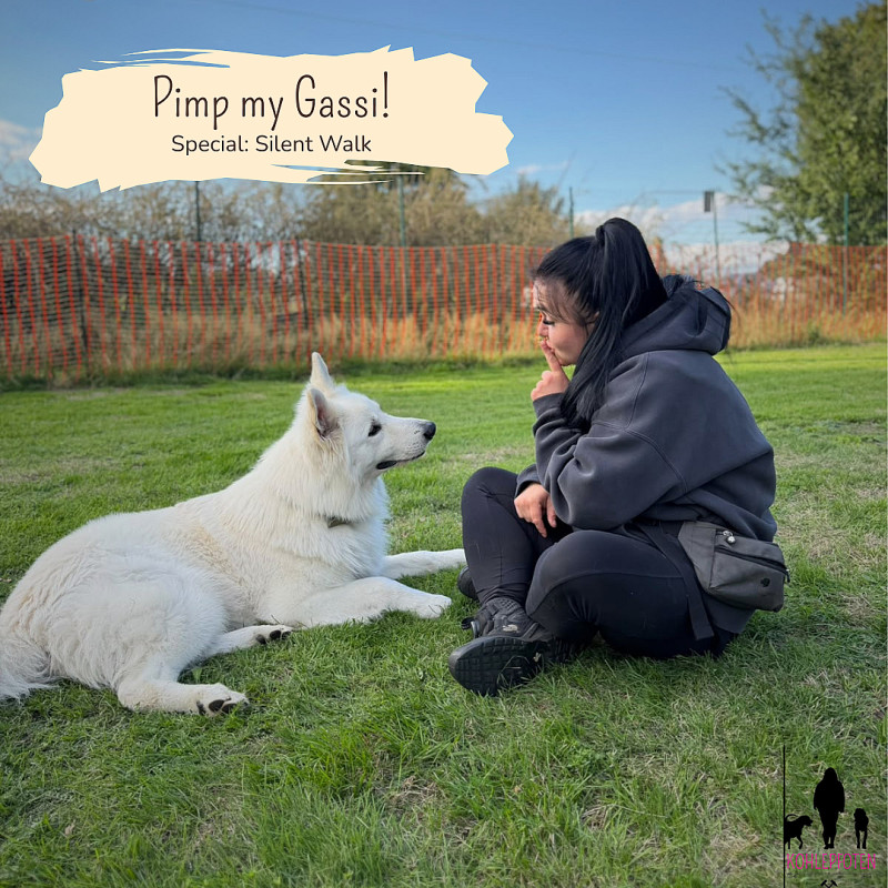 Pimp my Gassi! - Special: Silent Walk 🤫