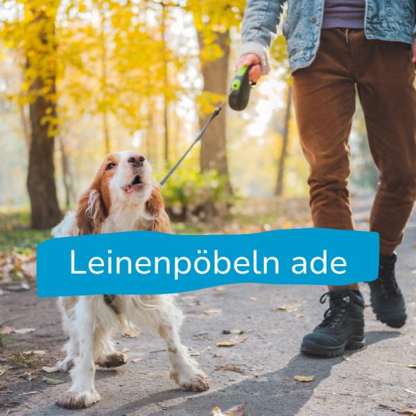 Hundebegegenung meistern