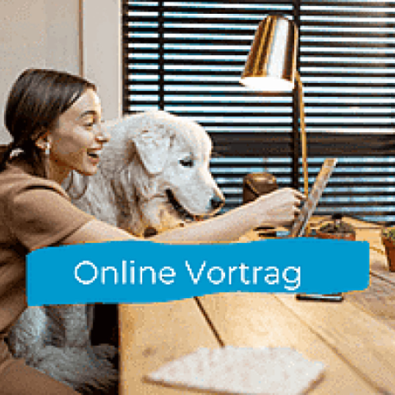 Pubertät beim Hund