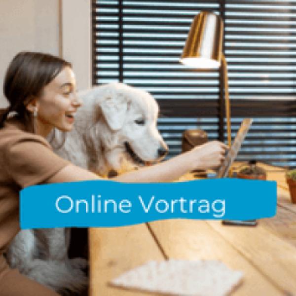 Pubertät beim Hund