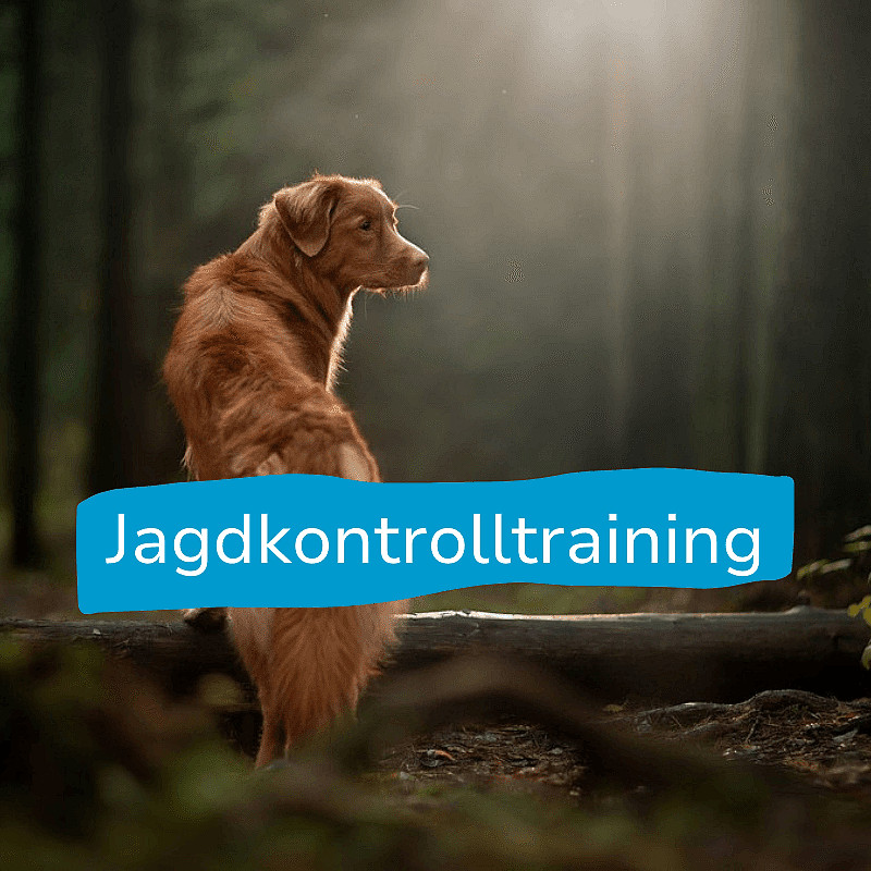 Jagdkontrolltraining