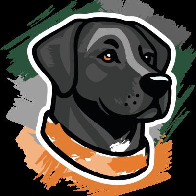 Trainer*in Team Hundeschule