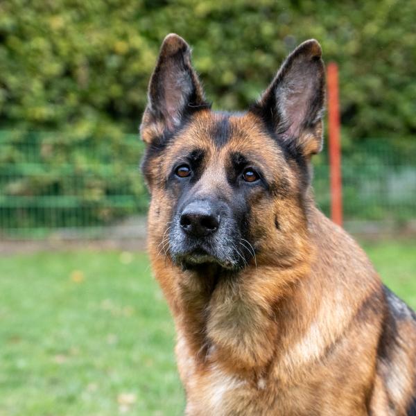 Nasenarbeit 2 Do 11:30 bei Manu