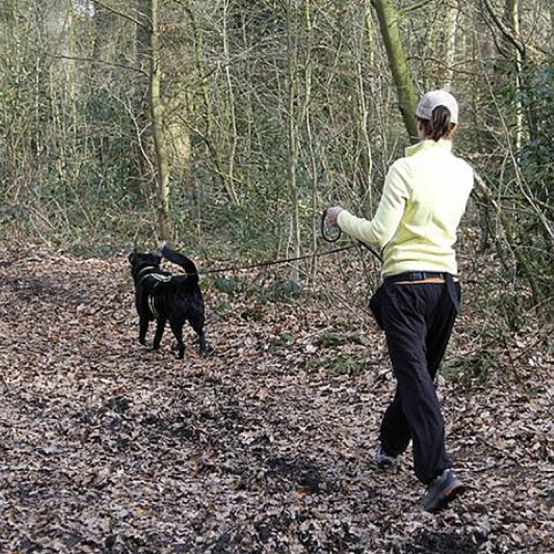 Mantrailing A1 Sa 10:00 bei Luzie