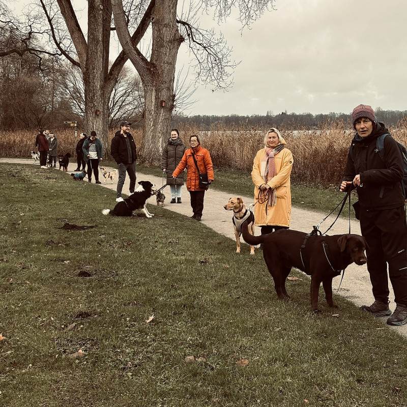 Social Walk am 16 Mai