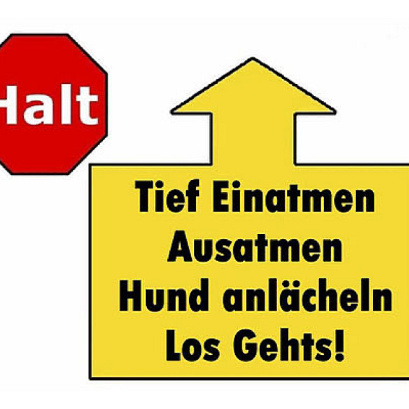 Rally Obedience Mi 15:45 bei Manu