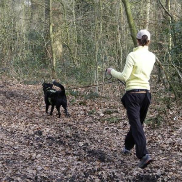 Mantrailing A1 So 10:00 bei Luzie