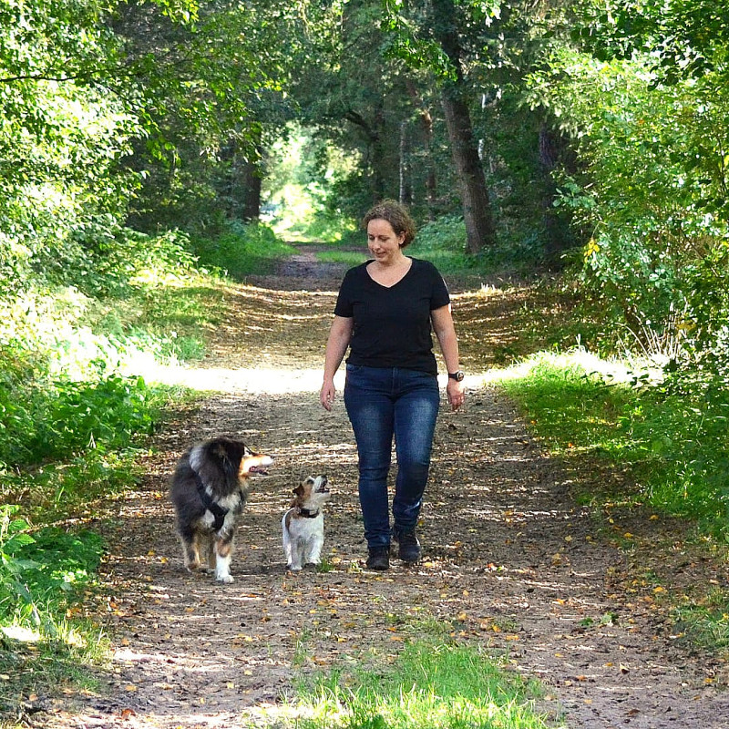 Junghunde 1 Mo 16:15 bei Maren