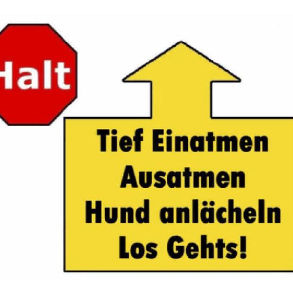 Rally Obedience Mi 15:45 bei Manu