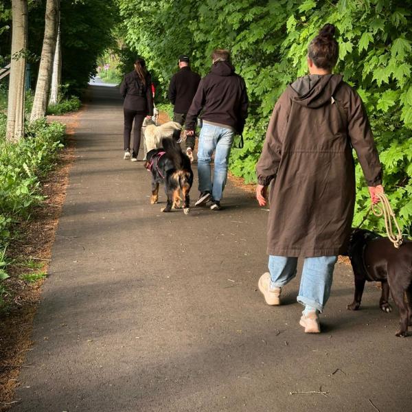 Weihnachtlicher Social Walk am 13. Dezember 2025