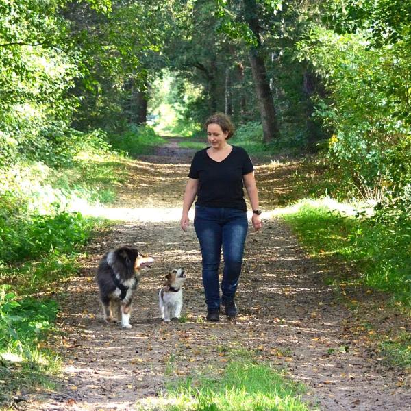 Junghunde 2 Mo 16:15 bei Maren