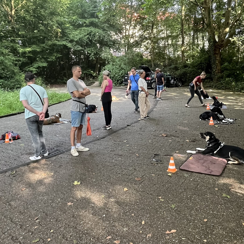 Outdoor Training „Grünschnabel“ Mittwoch 18 Uhr