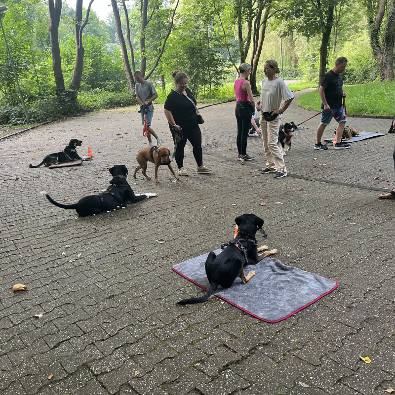Outdoor Training „Frischlinge“ Donnerstag 17 Uhr