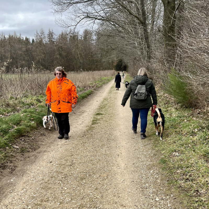 Hundebegegnungstraining