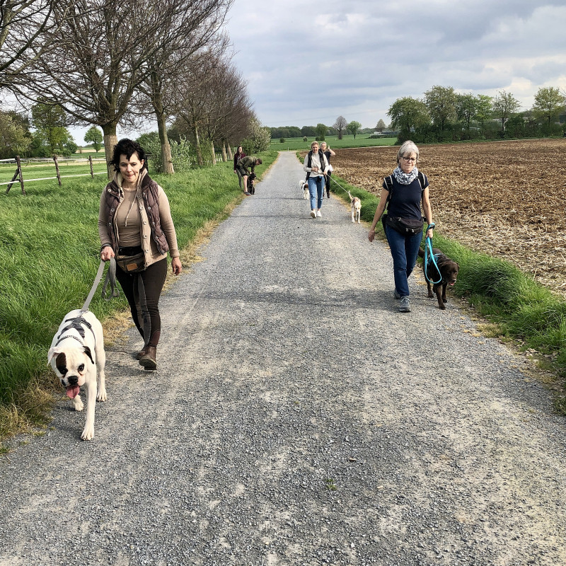 Social Walk
