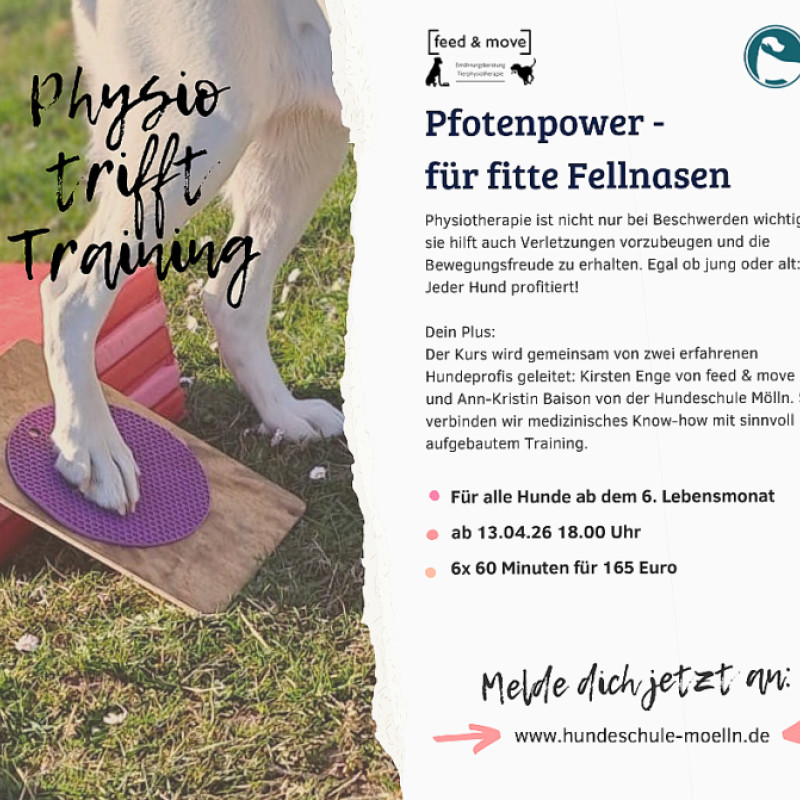 Pfotenpower- Physio trifft Training