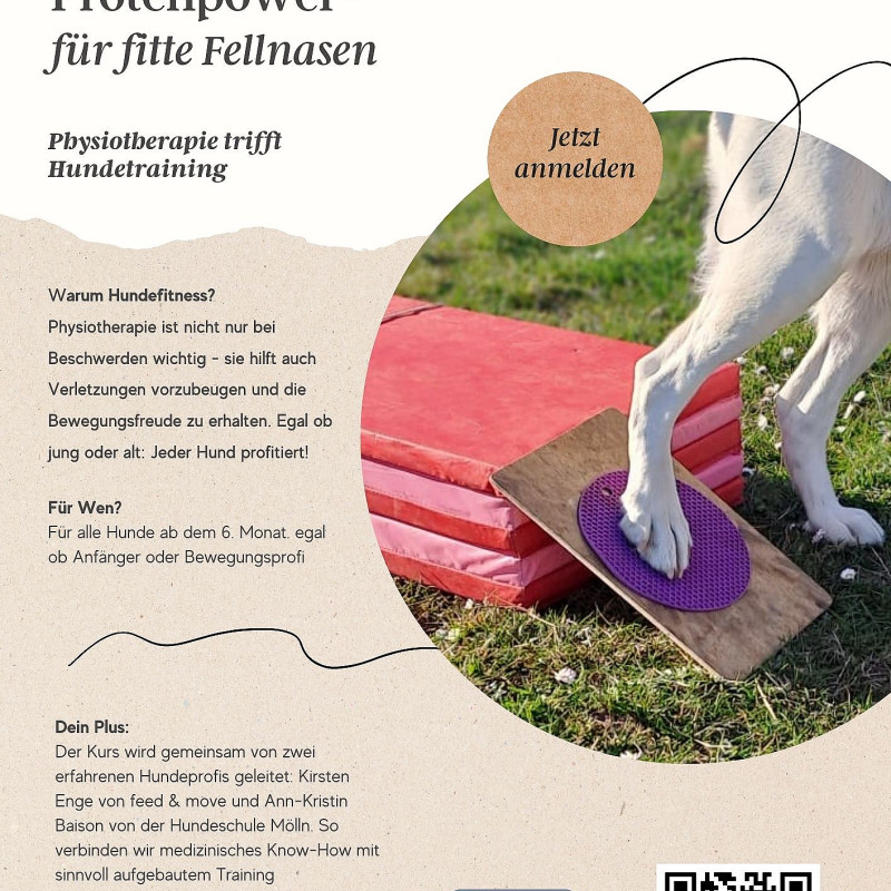 Pfotenpower- Physio trifft Training