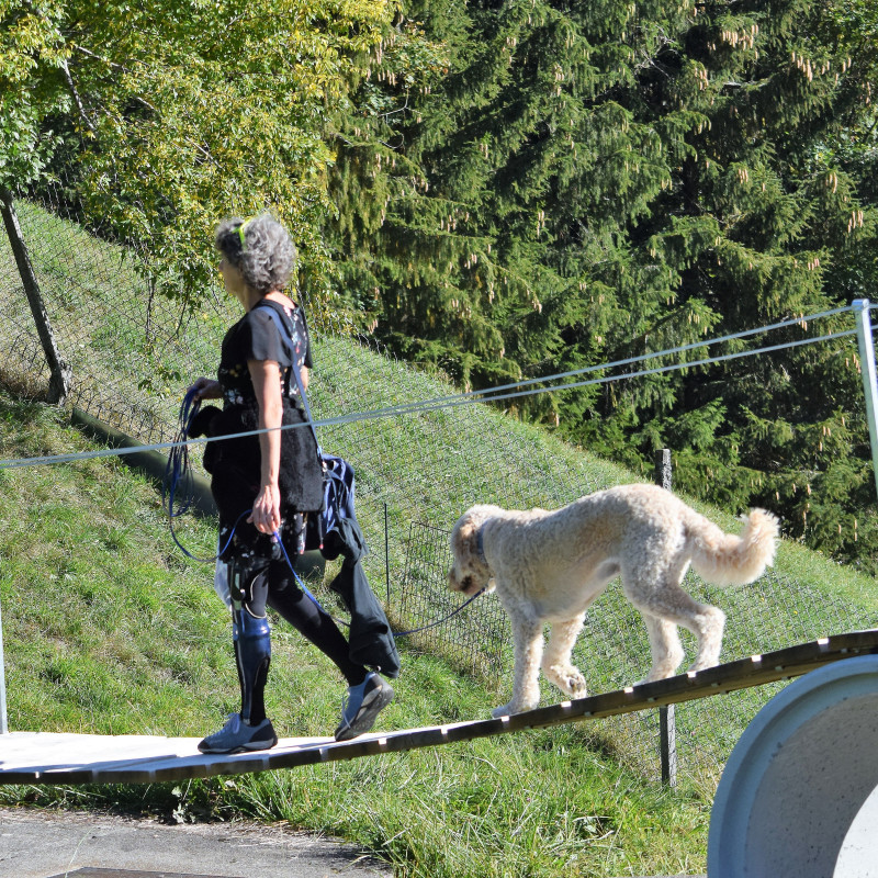 🐕 Auf festem Weg