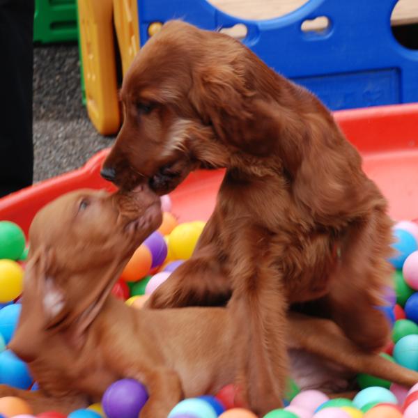 🌱 Gemeinsam wachsen