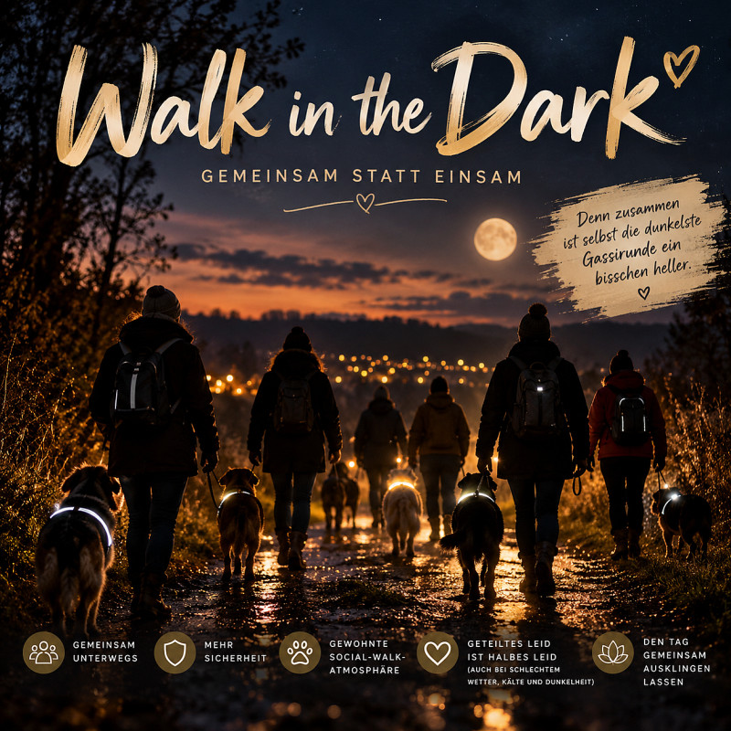 Walk in the Dark - dein Feierabendwalk im Dunkeln