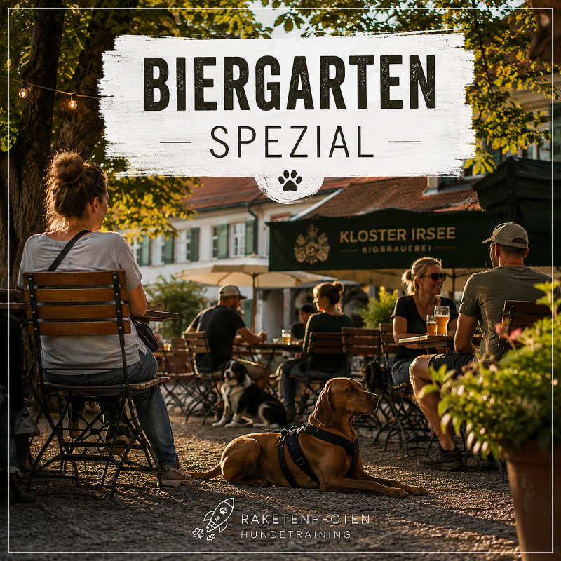 Mission Biergarten 🍺