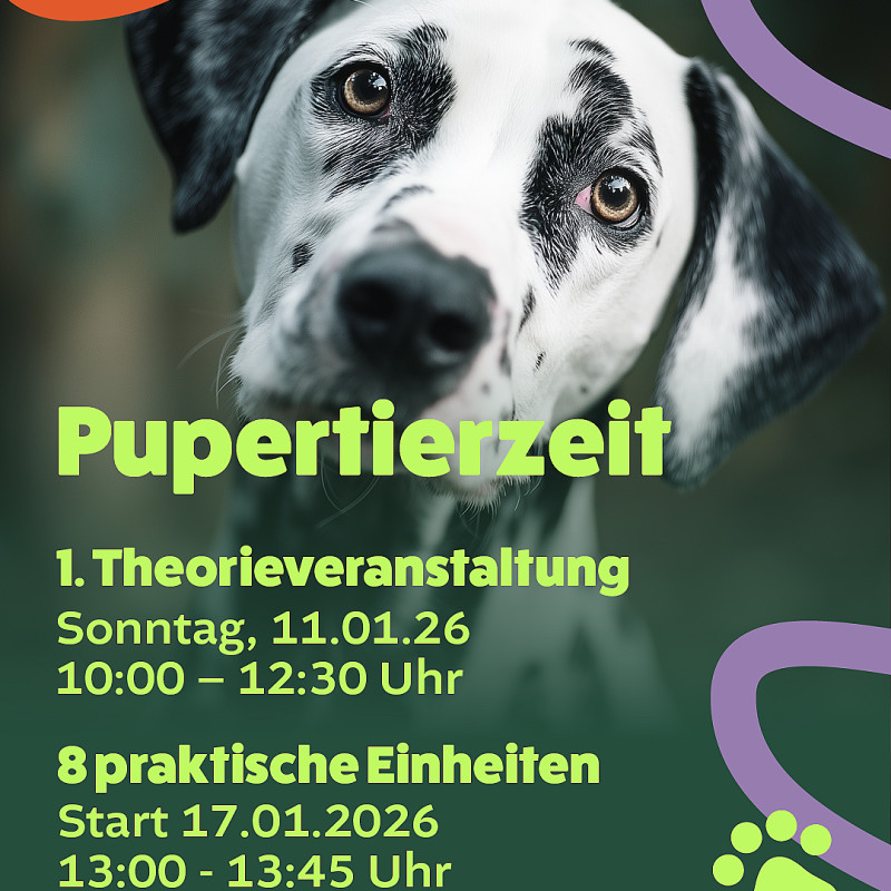 Pupertierzeit Januar 2026 (Kopie)