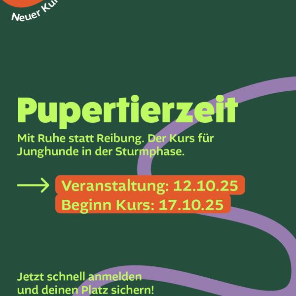 Pupertierzeit