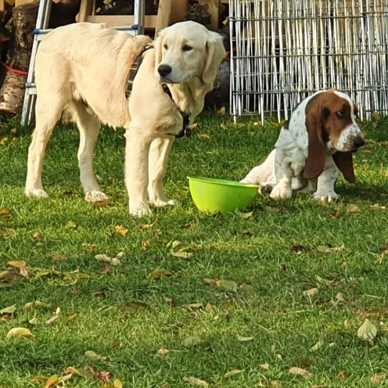 Samstag 14.00 Uhr