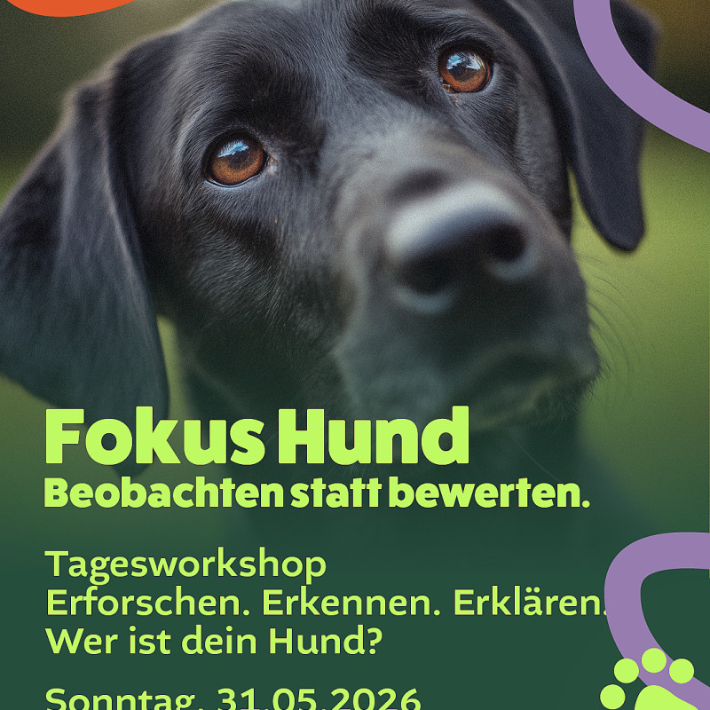 Wer ist dein Hund?