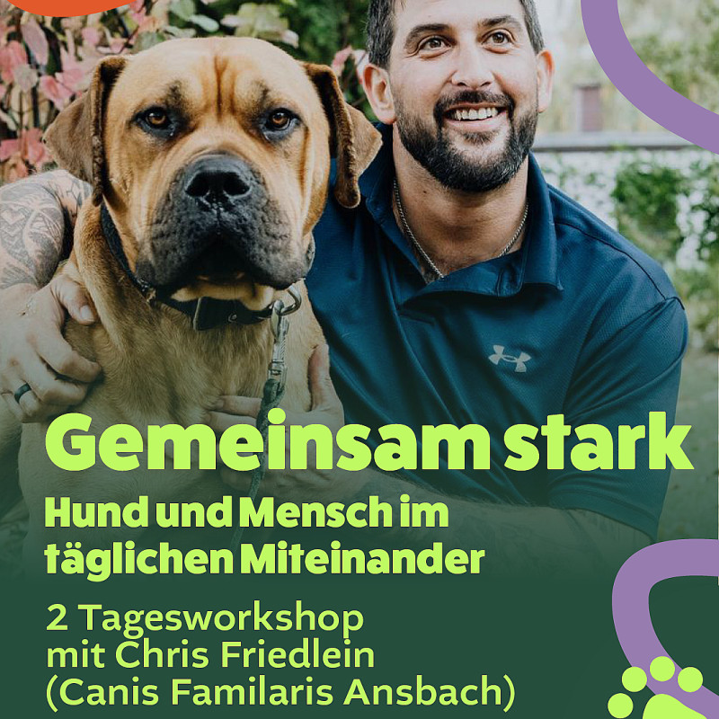Gemeinsam stark – Hund und Mensch im täglichen Miteinander