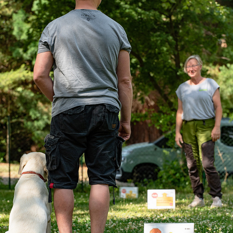 Rallye Obedience for fun II