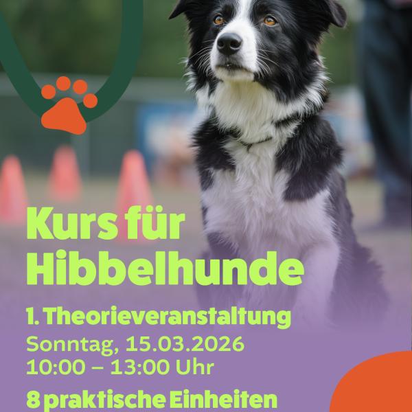 Das Leben mit einem Hibbelhund 2026
