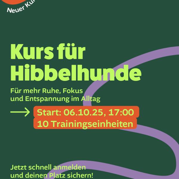 Das Leben mit einem Hibbelhund