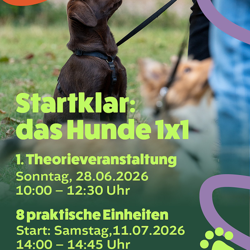 Startklar – Das Hund 1x1