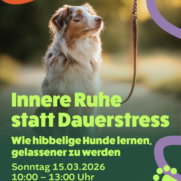 Innere Ruhe statt Dauerstress