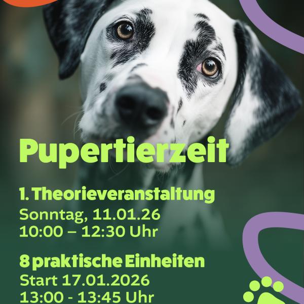 Pupertierzeit Januar 2026