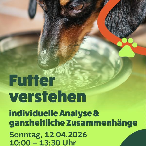 Hundeernährung verstehen Teil 2