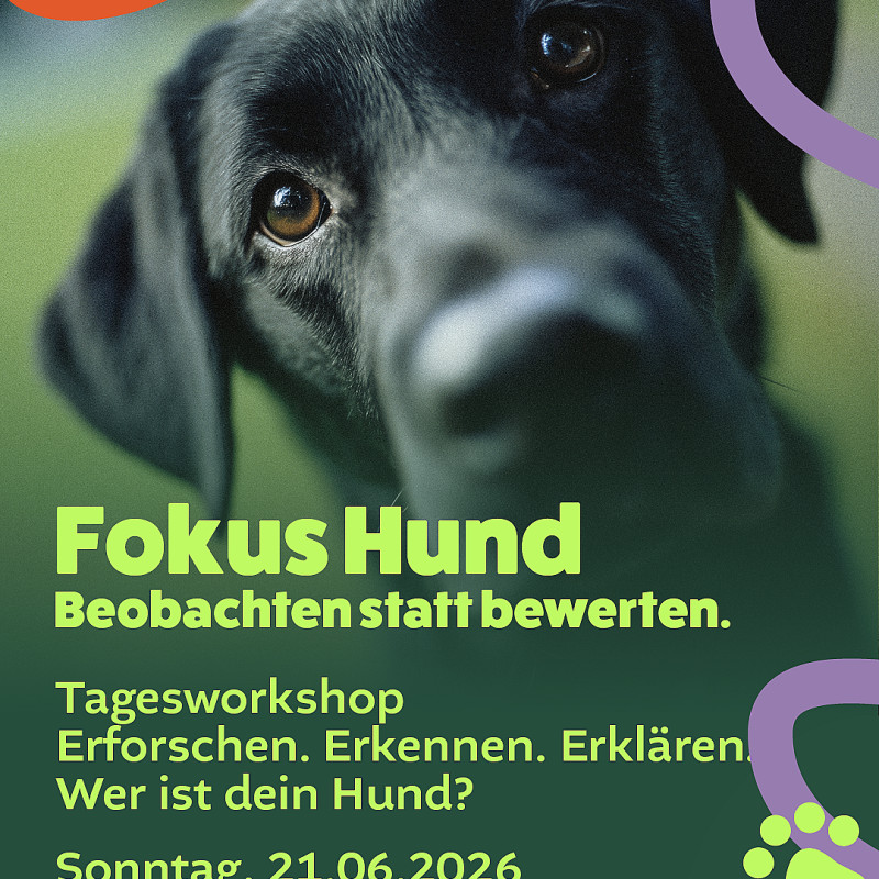 Wer ist dein Hund?