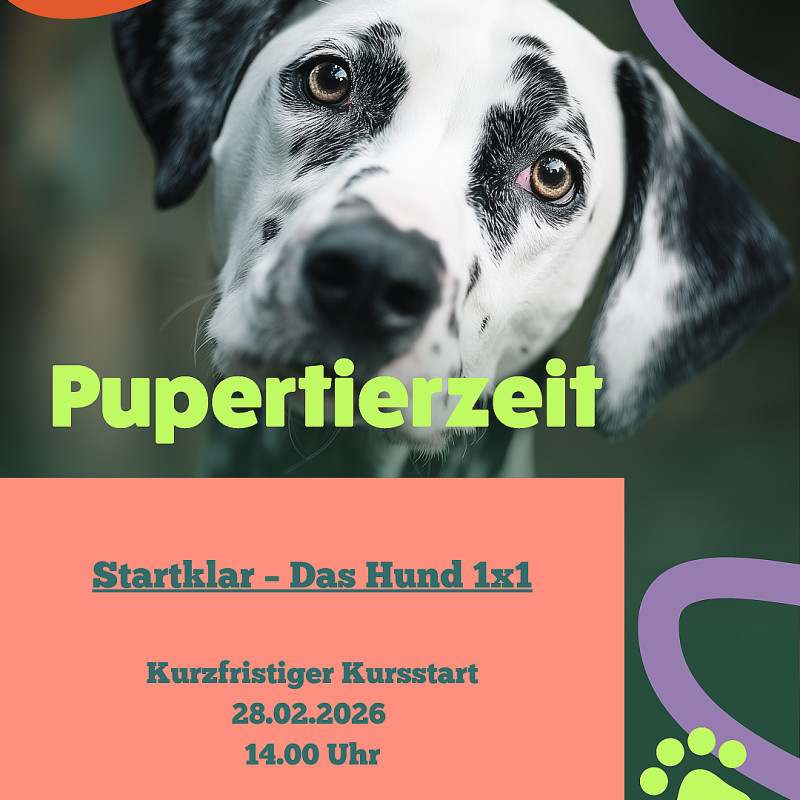 Startklar – Das Hund 1x1
