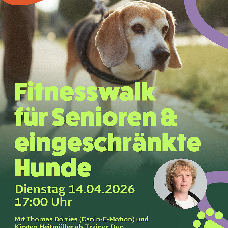 Fitnesswalk für Senioren & eingeschränkte Hunde