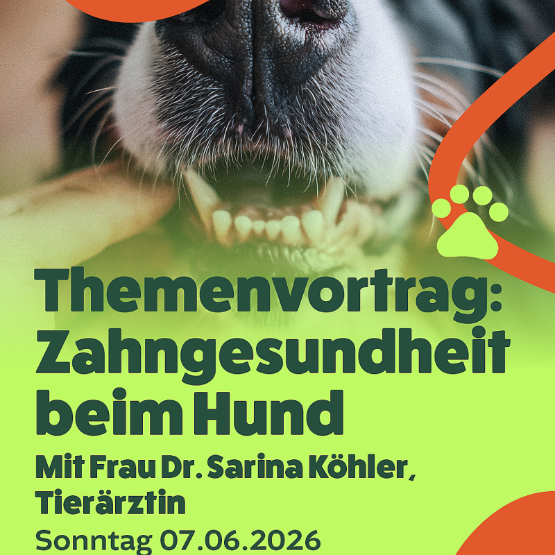 Zahngesundheit mit Dr. Sarina Köhler