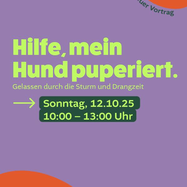 Hilfe, mein Hund pupertiert