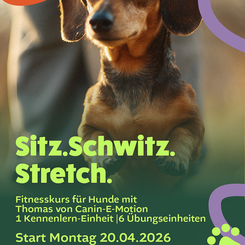 Sitz-Schwitz-Stretch