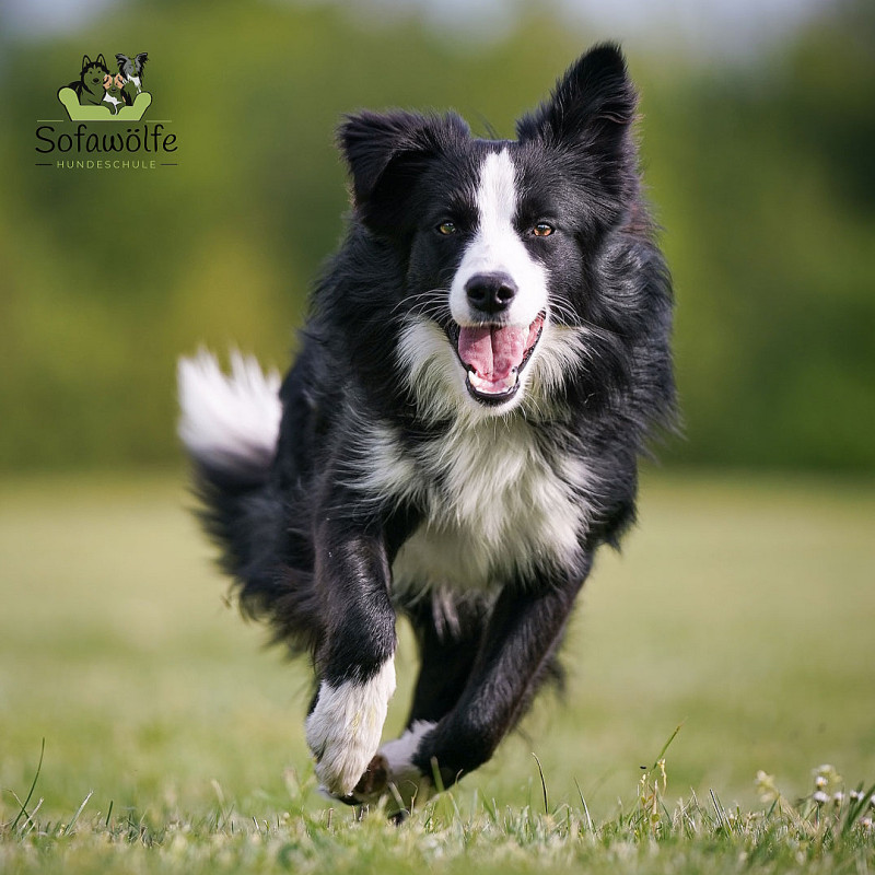 Rückruf (Start: 14.05.2026)