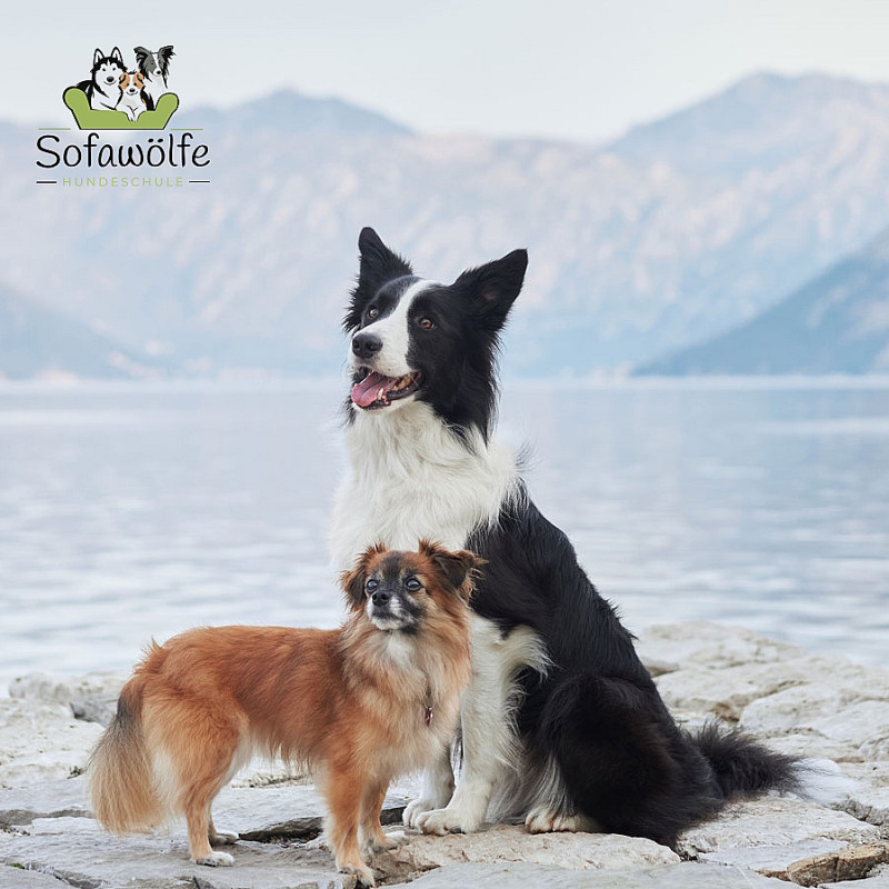 Fortgeschrittene (Start: 09.05.2026)