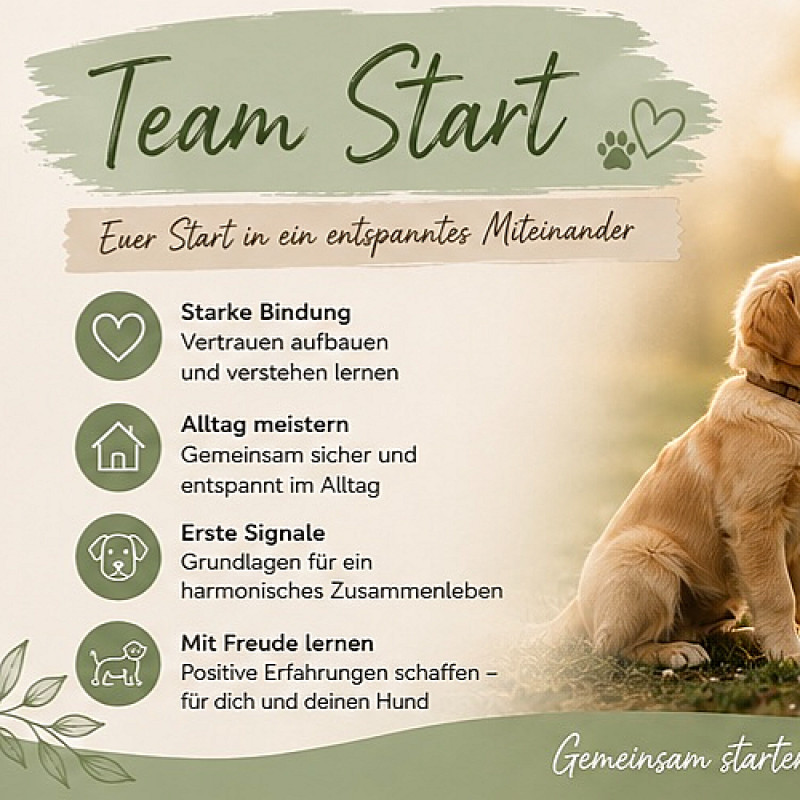 Team Start 1